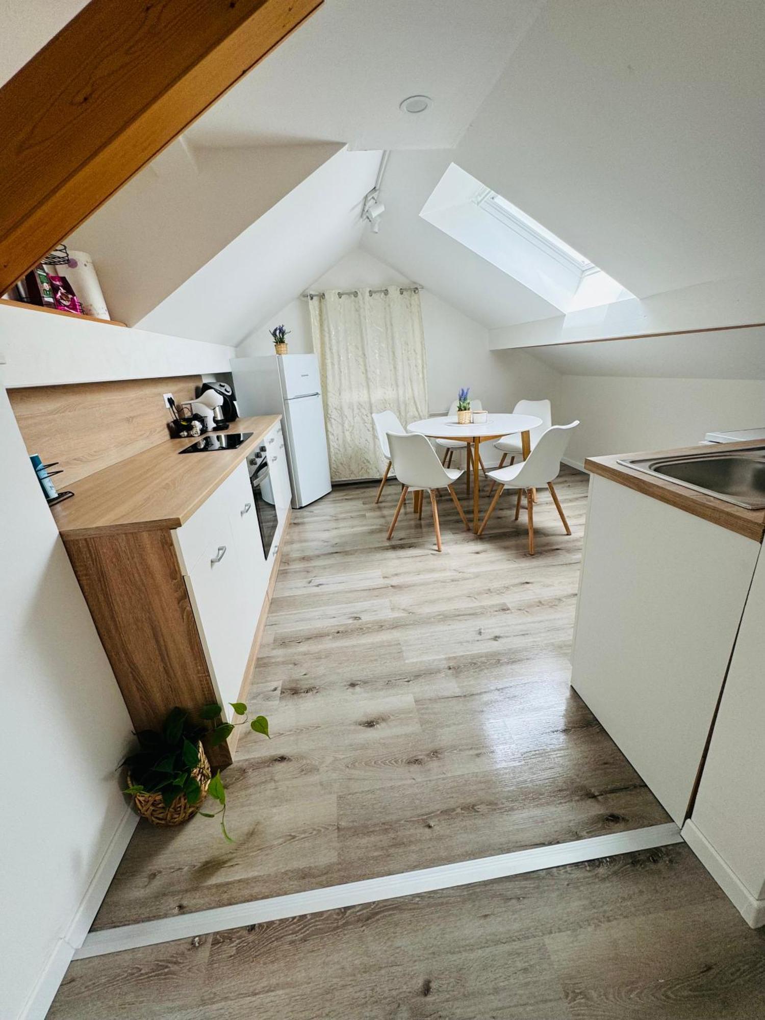 Aria Apartment Mosnje 외부 사진